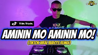 Aminin Mo Aminin Mo TikTok Viral Budots Remix  Dj Sandy Remix [upl. by Nerw]