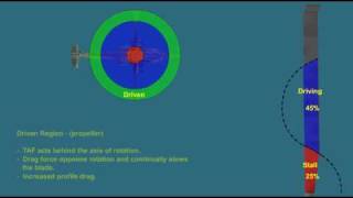 Helicopter Aerodynamics  Autorotation from top [upl. by Kurys]