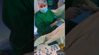 IVF treatment for pregnancy by Dr Rakshita Malik IVF Oocyte Retrieval Procedure ivfspecialist ivf [upl. by Ardnuahsal]