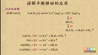 21溶解平衡移动的应用1 水溶液中的离子平衡（2）高中化学 [upl. by Yanel615]