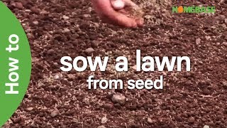 How To Sow A Lawn From Seed  EASY Steps To Grow A Lawn From Seed  Garden Ideas amp Tips  Homebase [upl. by Namrej]