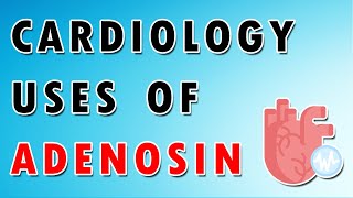 Adenosine Mechanism and Side Effects [upl. by Oilcareh]