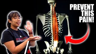 3 Exercises You Can Do To Prevent Erector Spinal Tightness [upl. by Hannahs963]