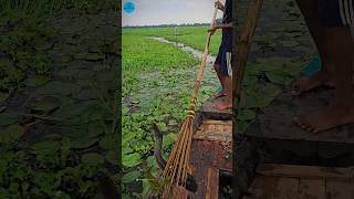 Boat Fishing Video 2024 part 132shortsshortvideo viral viralvideo fishing fishboatfishing [upl. by Oilisab]