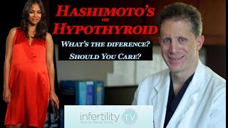 Hashimotos Hypothyroid and Fertility Finally A clear and logical explanation from Dr Morris [upl. by Adnawuj879]