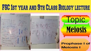 Topic Meiosis Prophase 1 of Meiosis 1 lecture delivered by Maam Samina Khuram 👍 [upl. by Adnomar]