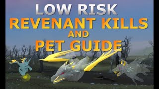 REVENANT amp PET GUIDE RUNESCAPE 3 [upl. by Flinn]