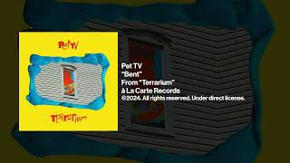 Pet TV quotBentquot Official Audio [upl. by Nasaj898]