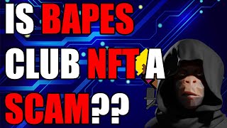 Is Bapes Clan NFT a Scam or the real deal [upl. by Darom]