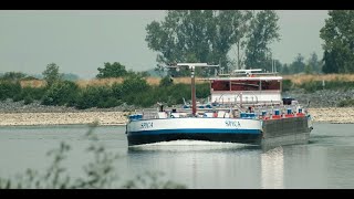 118 Shipspotting Binnenschiffe auf dem Rhein  TMS Spica aus Duisburg bei RiedstadtLeeheim [upl. by Yaakov]