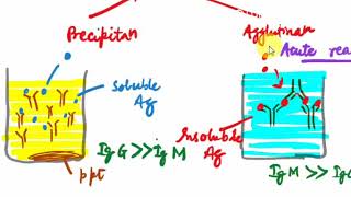 Microbiology  10  IMM  ANTIGEN ANTIBODIES REACTIONS Immunology [upl. by Frayda]