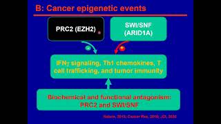 Metabolic impact on cancer immunity and therapy [upl. by Anastice]