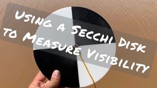 How to Use Secchi Disk to Measure Visibility [upl. by Gnex]