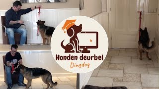 DingDog honden deurbel [upl. by Dorrej134]