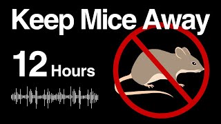 12h Keep Mice Away  Randomized HighFrequency Noise [upl. by Hadeis232]