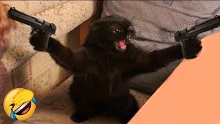 Funniest Animals 😄 New Funny Cats and Dogs Videos 😹🐶  Ep18 [upl. by Lawley400]