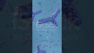 Structure of antibodies  immunoglobulins [upl. by Harday522]