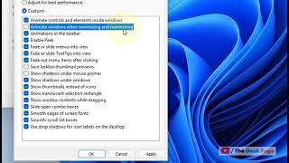 Disable Minimize And Maximize Windows animation in Windows 11 [upl. by Winston73]