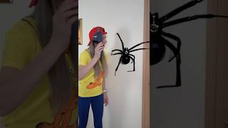 OMG😱 Super Giant SPIDER in the room [upl. by Annaoj]