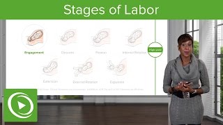 Stages of Labor Stages 1 2 amp 3 of Normal Labor – Obstetrics  Lecturio [upl. by Adnawot]