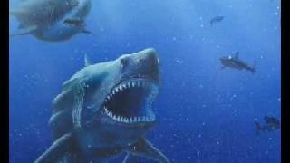 The MegalodonAncient Shark [upl. by Godwin229]