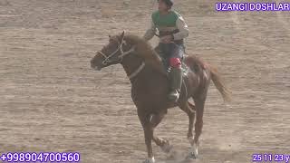 NAVOIY XATIRCHI IBROHIM AKAMIZNING 777 OTLARIDA 🐴👍👍👍🇺🇿🙋‍♂️ MESHA POLVON 🏇🏇🏇✊️✊️✊️🇺🇿 [upl. by Misak]