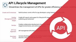 Zoom on API Lifecycle Management [upl. by Endaira]