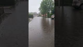 Live overstroming in Vogelwaarde Nederland 16 mei 2024 [upl. by Ecyor]