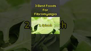 3 Best Foods For Fibromyalgia [upl. by Higginson]