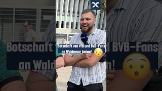 Spoiler Es wurde laut 🫣 bundsliga bvb vfb [upl. by Hallee]