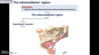 Overview of Head Exterior Preauricular and Submandibular Regions  Dr Ahmed Farid [upl. by Rawna]