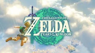 The Legend of Zelda Tears of the Kingdom 1 [upl. by Yraek]