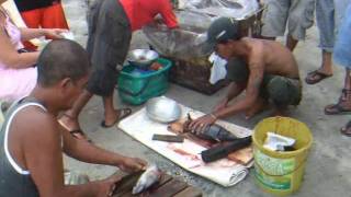 Fishermen with tuna fishing at the beach  Sabang Philippines [upl. by Prudence]