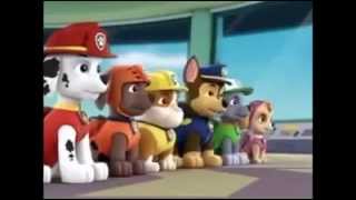 PAW Patrol Patrulla de Cachorros Nuevo Episodios Nueva Temporada [upl. by Tnattirb136]