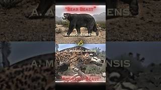 Andrewsarchus VS Arctotherium amp Smilodon VS Daeodon edit prehistoricanimals 1v1 [upl. by Helprin608]