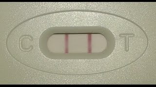 بالفيديو كيفية إختبار الحمل المنزلي  HCG Pregnancy Test [upl. by Llenyt]