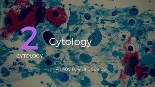 Cytology [upl. by Farland]