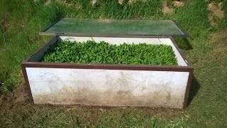 DIY Cheap Permanant Gopher Proof Raised Garden Bed [upl. by Cortie20]