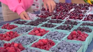 Charlevoix Farmers Market at the Charlevoix Venetian Festival [upl. by Notluf]