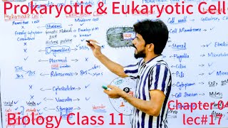 Prokaryotic amp Eukaryotic Cell  The Cell  Chapter 4  Biology Class 11  Lec17 [upl. by Murial]