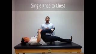 Lower Back Exercises for Arthritis Spinal Stenosis DDD and Muscle Strains [upl. by Kosey]