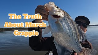 The Truth About March Crappie  Fishing with Livescope Footage [upl. by Arrat71]