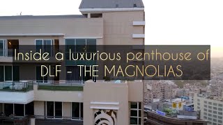 11000 sqft Penthouse for sale in DLF Magnolias  ☎️ 8448318033 for details and site visit [upl. by Burrows]