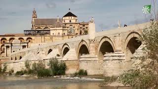 Puente romano de Córdoba [upl. by Scutt]