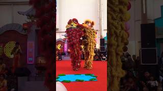 Barongsai Show at Summarecon Mall 2024 [upl. by Aloivaf]