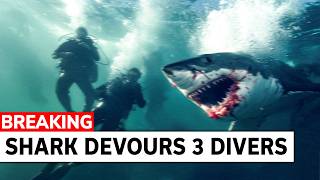 Shark Ambushes Group of Divers Then THIS Happens [upl. by Anilorac]