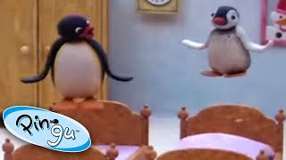 Pingu amp Pingas Sleepover Fun  Pingu Official  Cartoons for Kids [upl. by Ayanal791]