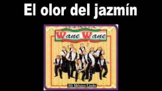 Banda Wane WaneEl olor del jazmin [upl. by Iand]