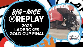 2023 Ladbrokes Gold Cup  Links Maverick  Greyhound Replays  2023 Big Finals [upl. by Aleyak]