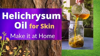 Helichrysum Oil for skin  How to make it at Home [upl. by Ykciv565]